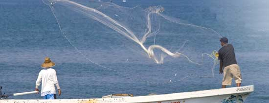 Cast net throwing from a panga