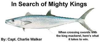 In search of mighty king mackerel