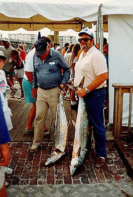 King mackerel at tournament weigh-in