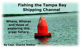 Fishing the Tampa Bay Shipping Channel