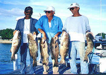 Party Boat Fishing in the Gulf of Mexico