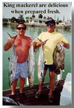 King mackerel are delicious when prepared fresh