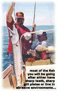 Choosing Your First Light Tackle Outfit