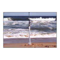 Sand Spike 50 inch
