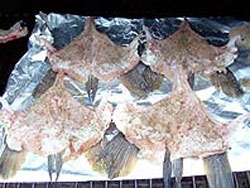 Capt. Charlie's Broiled Grouper Throats