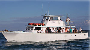 Party Boat Fishing in the Gulf of Mexico