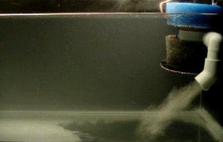 KeepAlive Floating Infusor