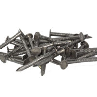 Stainless Steel Ring Shank Large Head Nails